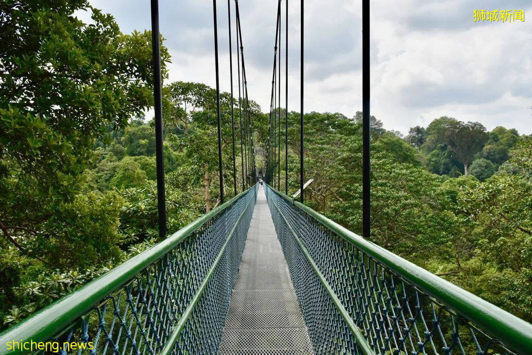 新加坡景區岩石崩落嚇壞在場公衆!還有哪些自然景區可以去?快來打卡