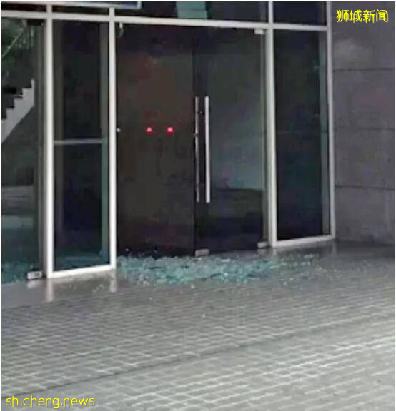 新加坡地鐵惹誰了?野雞、野豬輪番轟炸!