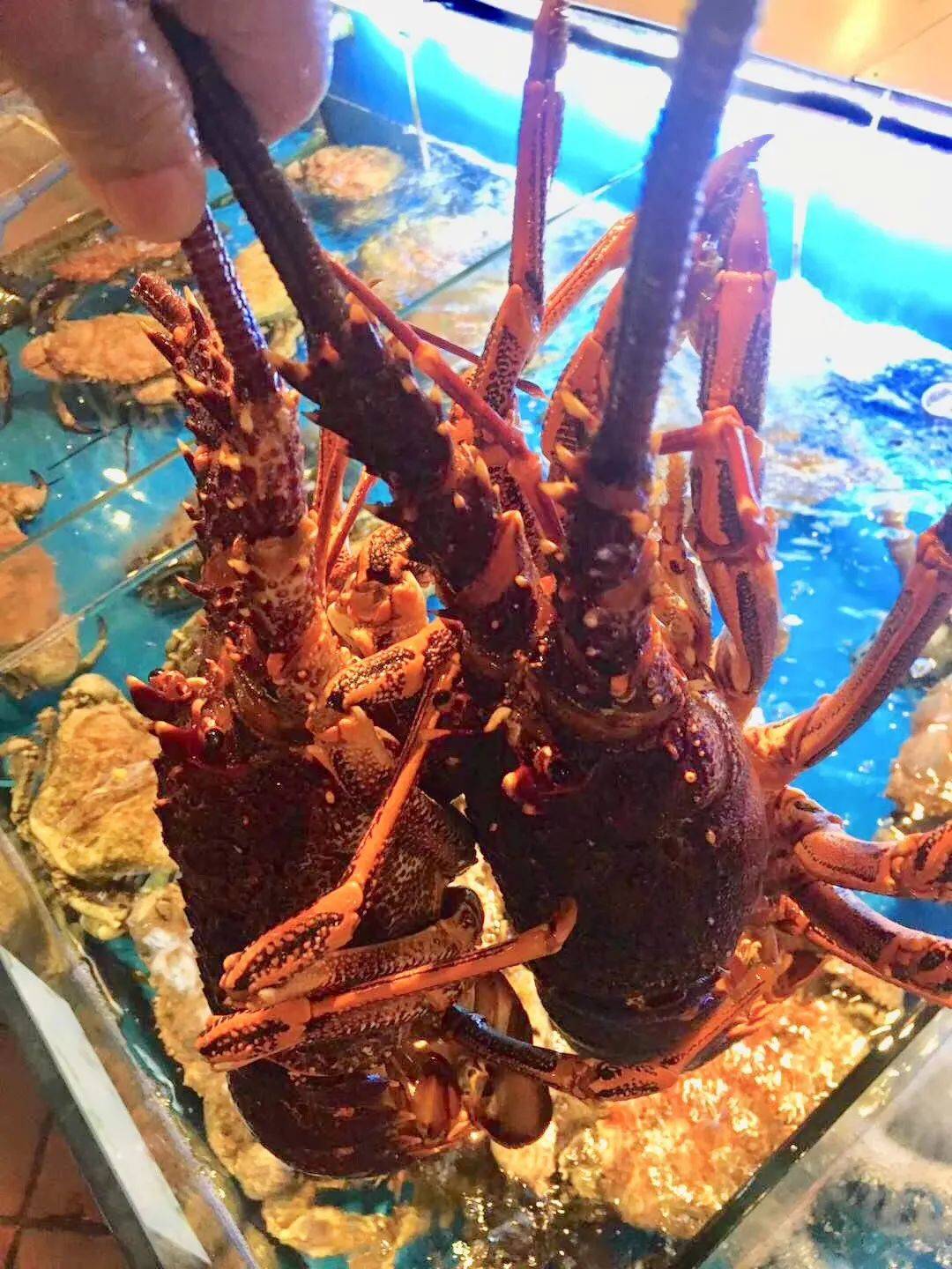 新加坡国宴御厨推出米其林级别年夜饭,价格$29.8起限量预订