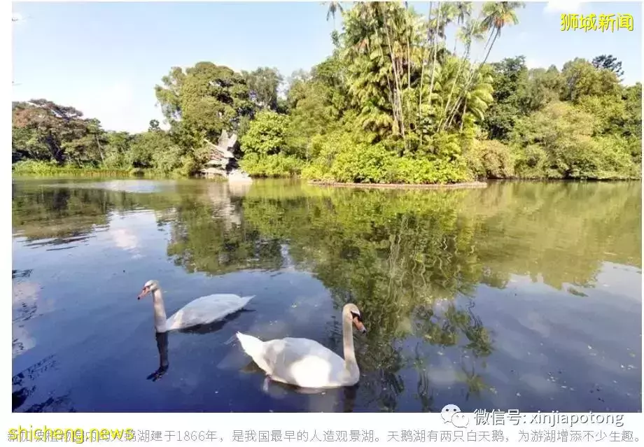 學區房系列:綠墩雅苑,名校南洋小學,荷蘭村高檔住宅區,稀缺大型永久地契,促銷活動中