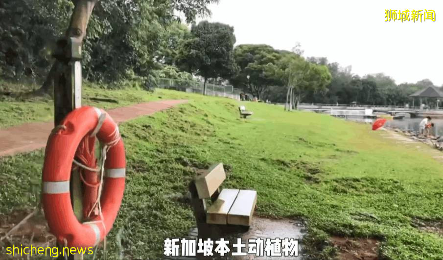 疫情不再宅家!新加坡10个超美户外蓄水池走起~人少风景好