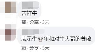 牛车水的新年灯饰来了！网友：像个养牛场一样