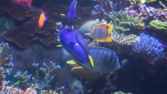 新加坡10天深度自由行，感受世界最嚴法律下的四大種族交融之地3