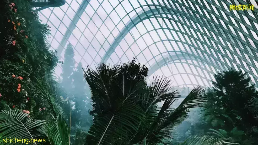 新学院新行动!新加坡詹姆斯库克大学新学院展开企业合作,推动2030绿色发展蓝图