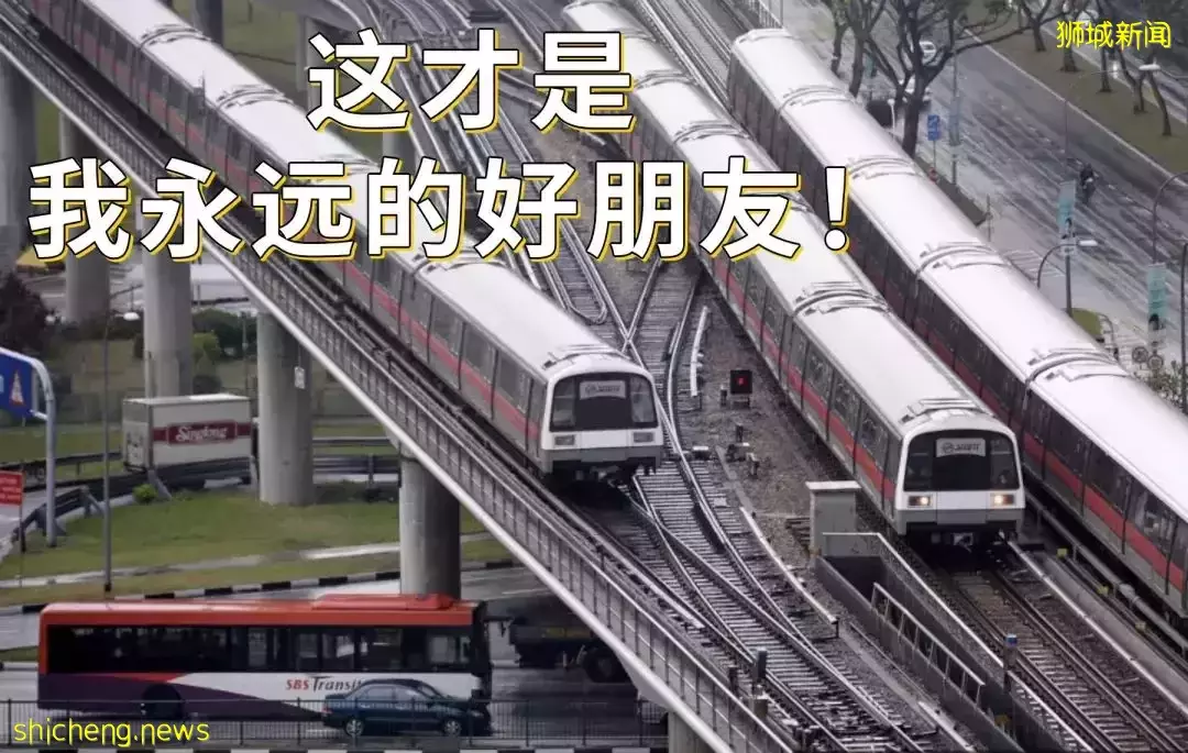 天啦噜！新加坡雞和魚都沒了，我們吃什麽