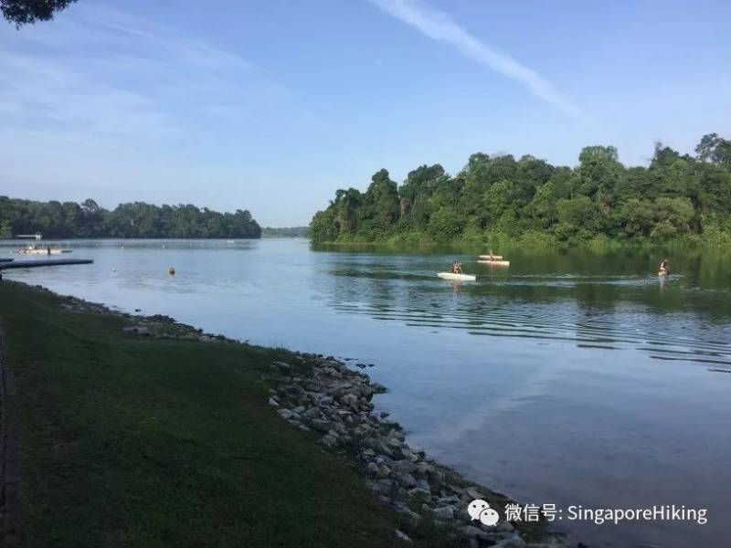 08月18日周日白徒：麦里芝蓄水池 MacRitchie Reservoir