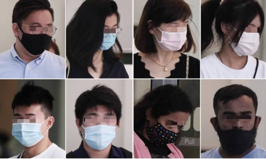 四人在新加坡餵野豬犯法,共被罰1萬新幣!這些罰款規定太多人踩雷