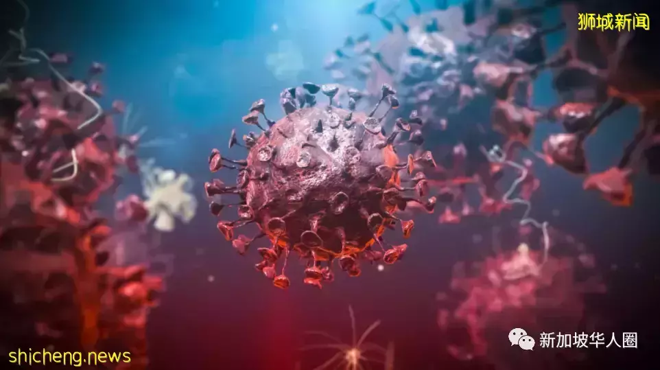 1101例，超强变种病毒Omicron已入侵新加坡，传染性狂增500%​