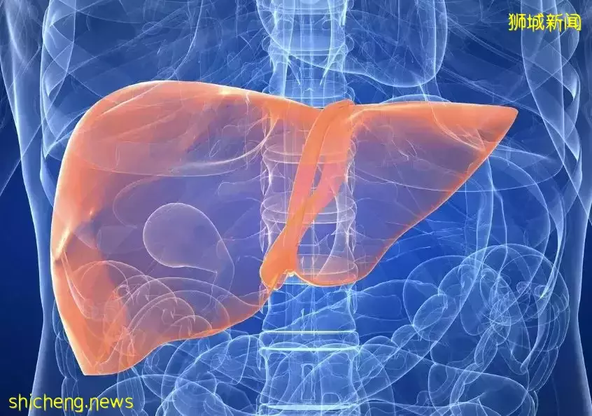 新加坡首例！他感染了全球性不明兒童肝炎，僅10個月大