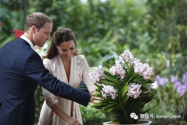 留神！在新加坡看起来“low爆了”的人，可能家里有矿！