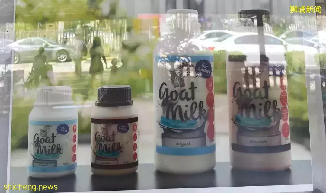 下水抓蛙、摘菜摸鱼、开土摩托……我带娃体验了一把新加坡的农家乐