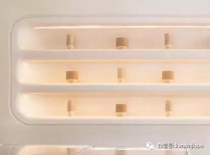 號稱“新加坡最好吃的”的冰淇淋開新店了！連續3年登米其林推薦榜