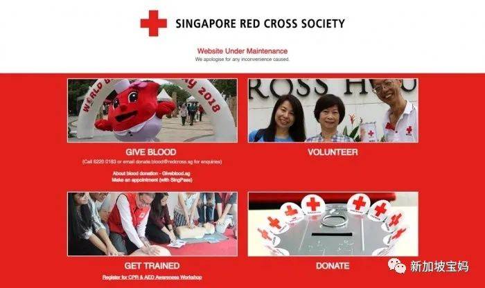 除了陪玩,你還應該在新加坡陪孩子做點有意義的事兒