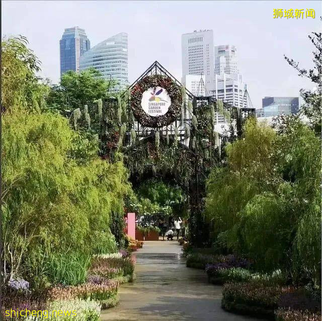 美到不行的裕廊湖畔花园,你不来打卡一下吗