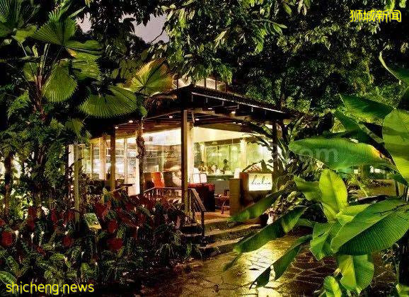 在新加坡,想找个10分男友竟然这么难