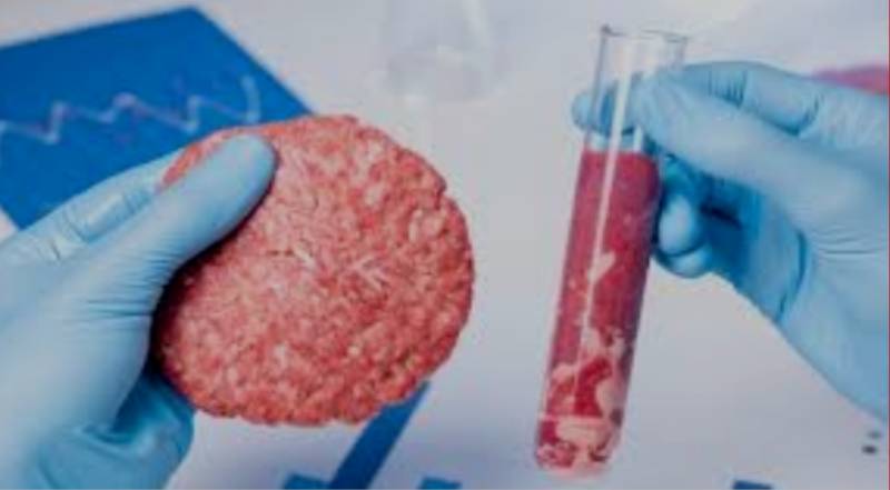 人造雞肉、植物肉...在新加坡還能安安靜靜的吃口真肉嗎