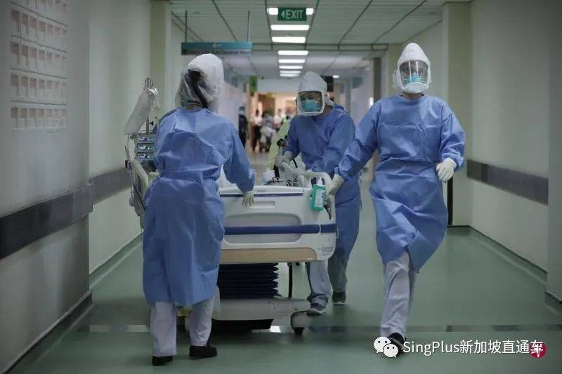 一不小心"三喜臨門"？新加坡，你有點過分了