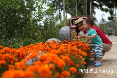 001OZGDMgy6KP93wtjqf8&690