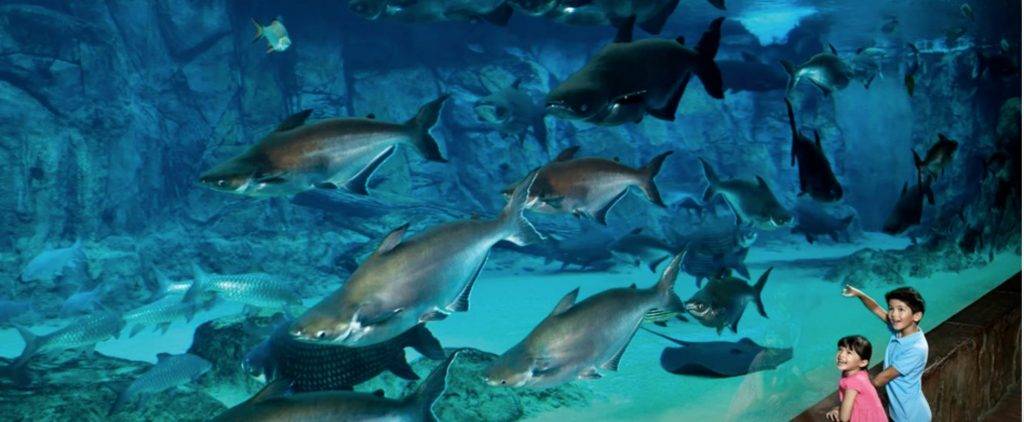 3月School Holiday攻略!最適合家庭的活動優惠大盤點