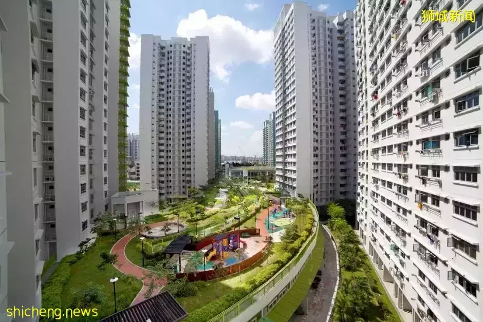 移民新加坡=被割韭菜,精英變成“下等人”!?幾十萬新移民不服氣