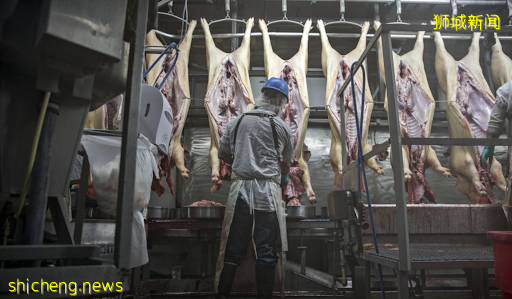 我很怕，新加坡疫情會反彈!