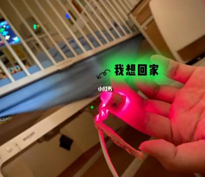 “懷大寶3個月做乳癌手術，小寶6個月中新冠入院高燒不退！”我在新加坡的這些年