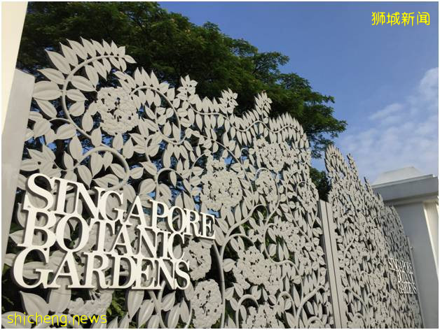 新加坡植物園（上）!