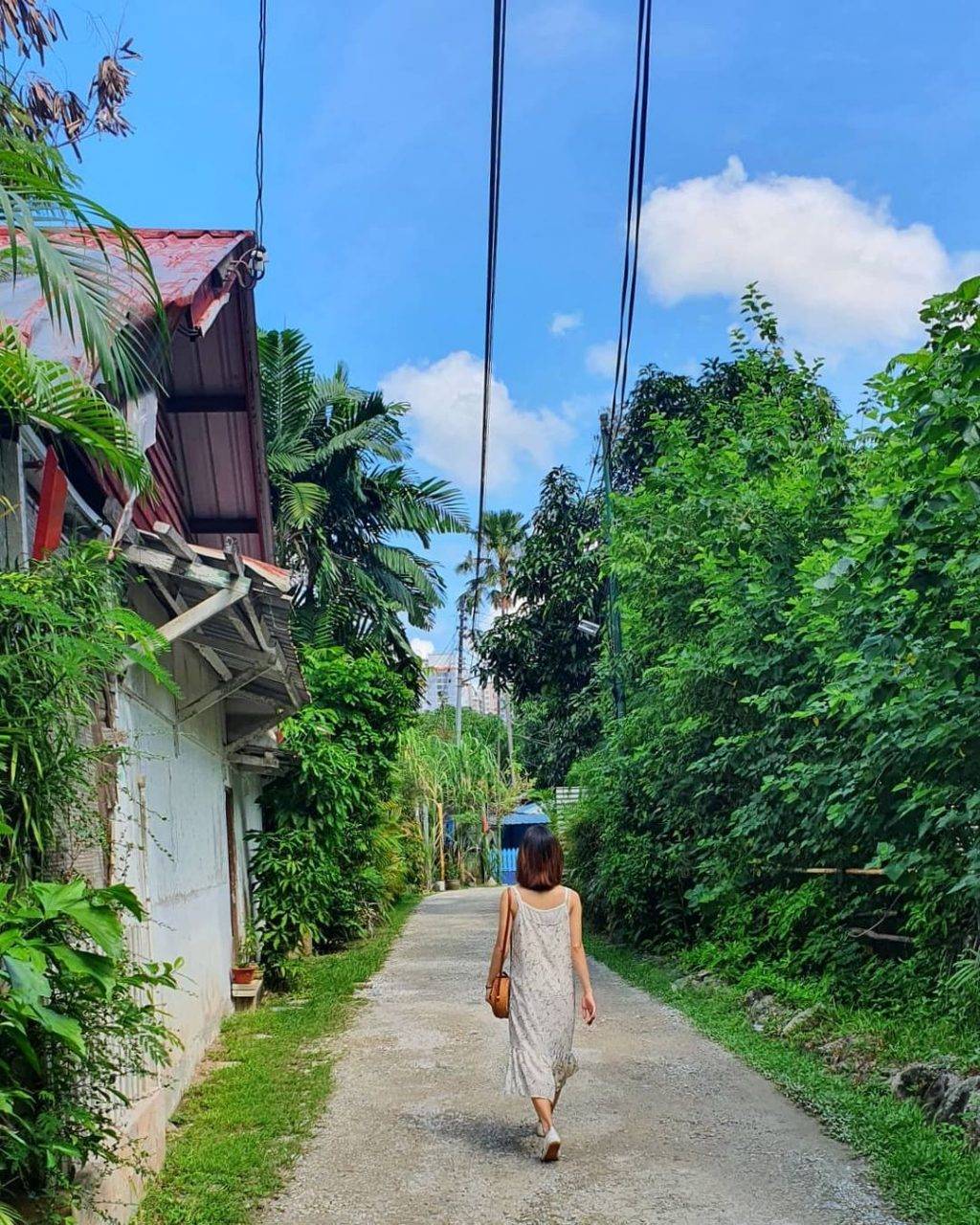 秘密景区!新加坡8座遗忘的角落🌂 徒步旅行好去处!消失的水库、战争遗物、遗弃古迹