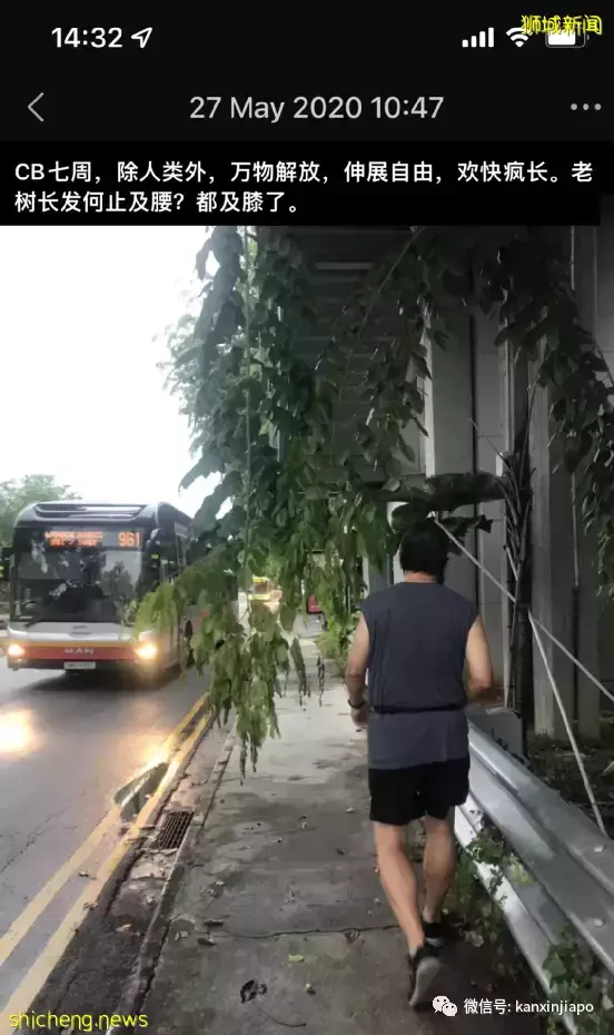 新加坡“仰臥起坐”和“投降躺平”？背後是你沒看到的洪荒之力