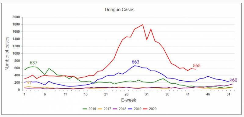 國家環境局:本地伊蚊數量已經連續7周增加