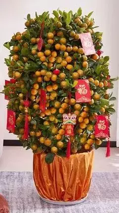 “坡式新年”今年春節,我在新加坡