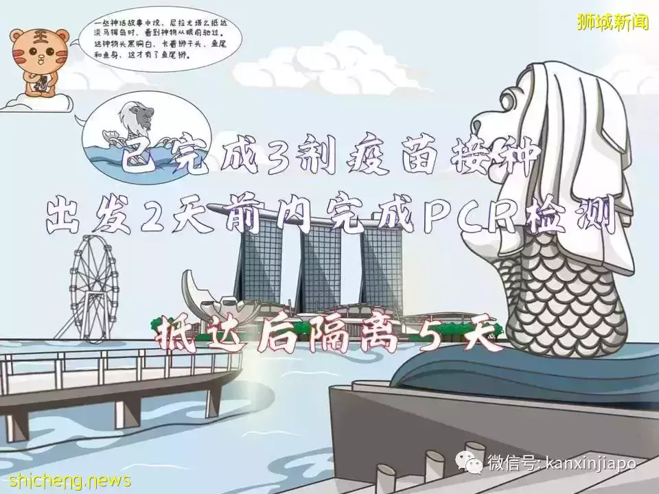 最新攻略！搶不到VTL車票，但還是想回馬國過年怎麽辦