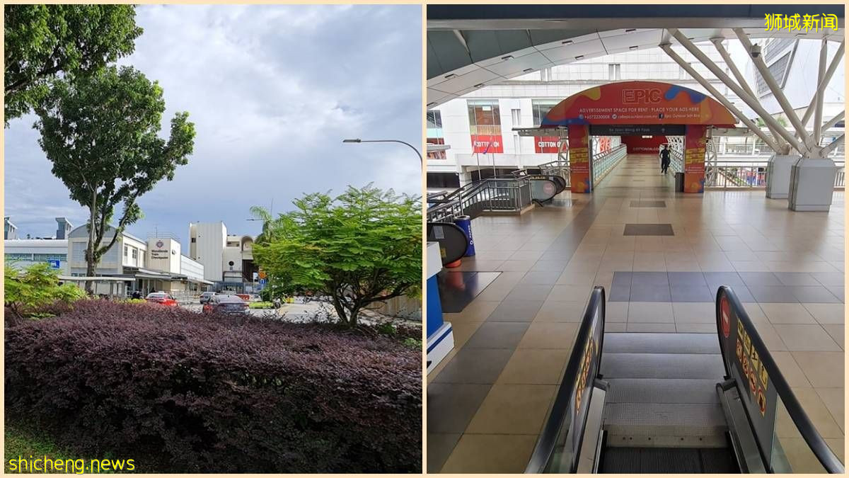 还有什么办法申请回马来西亚？ 网友申请居家隔离回家完整版