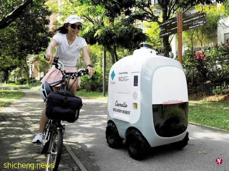 当你以为外卖小哥已是新加坡一道永久风景线时,更有效率的它们已悄悄上位了