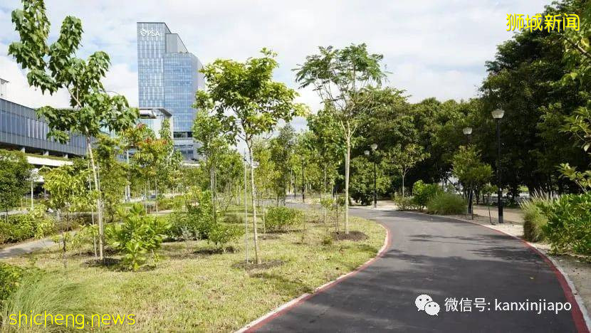 登高遠眺，解鎖新加坡新地標山丘步道、蝴蝶園和遛狗場