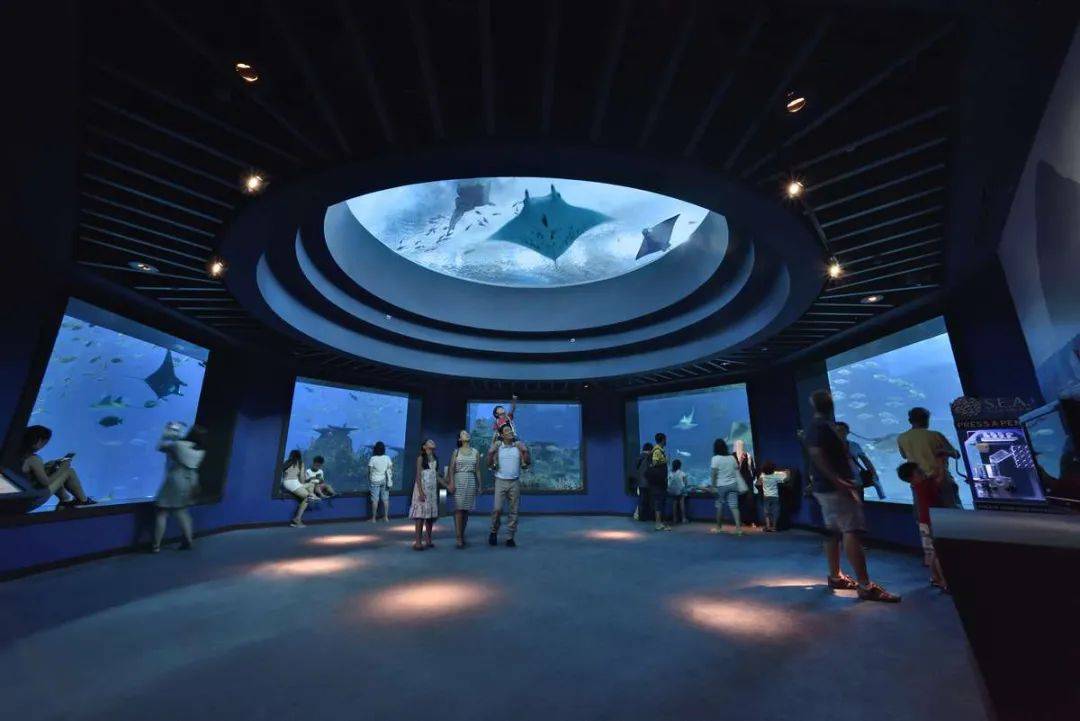 花園城市：新加坡遊玩攻略