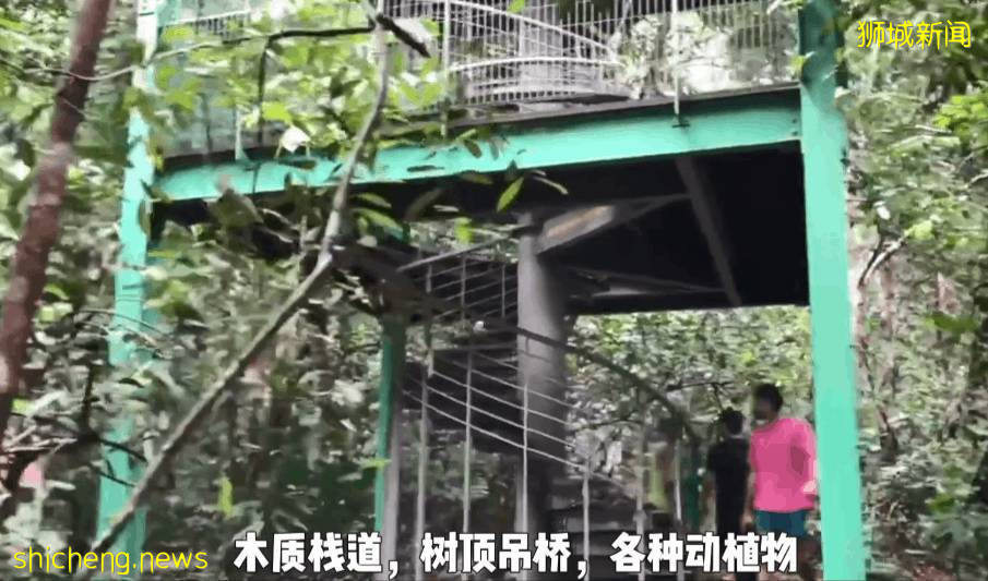 疫情不再宅家!新加坡10个超美户外蓄水池走起~人少风景好