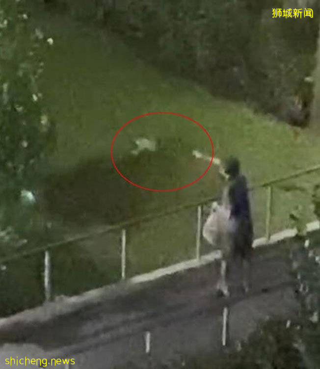 阿叔乱扔垃圾 邻居报复 强力胶“锁门”