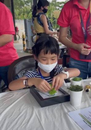 免費送票！$58就能露營機場，兩天一夜住帳篷，快搶