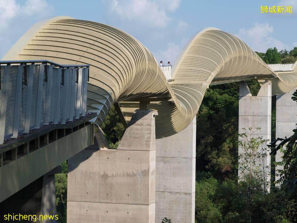 我lllllb了!原来狮城还有这些“奇葩”建筑