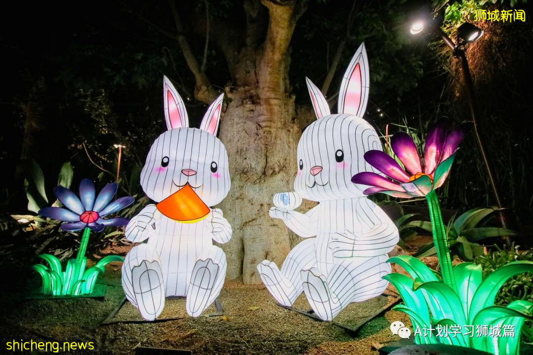 濱海灣花園中秋節燈飾，搶先看