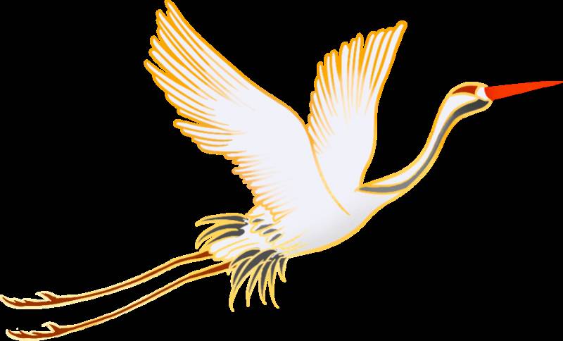 九九重阳,登高敬老。你爬过新加坡最高的山吗?俯瞰狮城的最高点