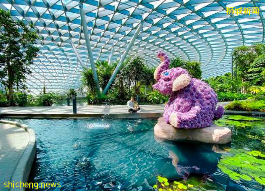 解封後回歸社交生活，有哪些好玩的活動和地點值得一逛？一起來看看吧