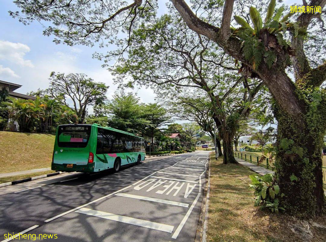 新加坡 公共运输工具大盘点