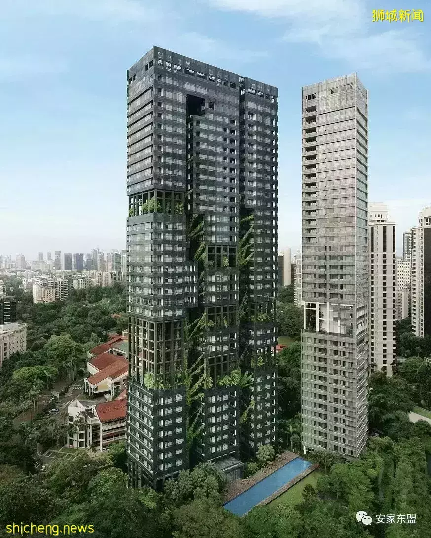 新加坡性價比高的大平層盤點,對面的土豪看過來,中新兩地3千萬美金富豪4年內會增50%