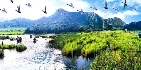 新加坡是如何管水的