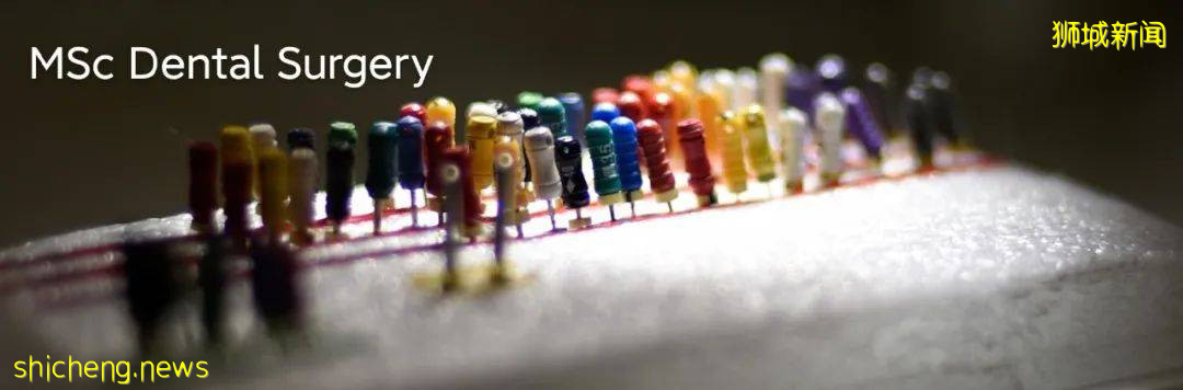 申請季來臨，NUS這些碩士申請已開放