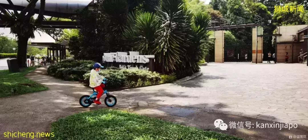 快来免费打卡新加坡这个世界文化遗产