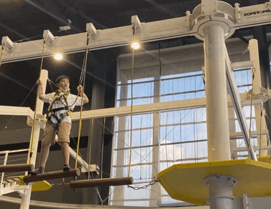 50万人疯狂打call!新加坡最大冒险游乐场,太!过!瘾!了