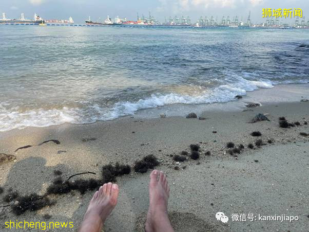 男子海里游泳遭洋流卷入，载浮载沉大半个圣淘沙